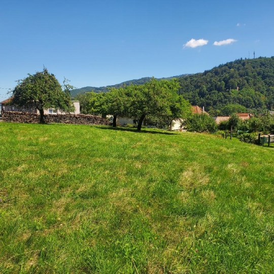 LOLITA JASKO IMMOBILIER : Terrain | LA BROQUE (67130) | 1230.00m2 | 134 000 € 