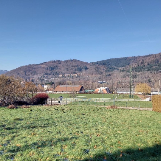  LOLITA JASKO IMMOBILIER : Ground | BAREMBACH (67130) | 885 m2 | 124 000 € 