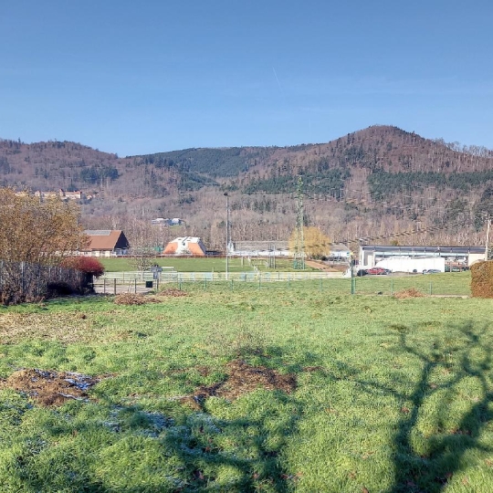  LOLITA JASKO IMMOBILIER : Ground | BAREMBACH (67130) | 885 m2 | 124 000 € 