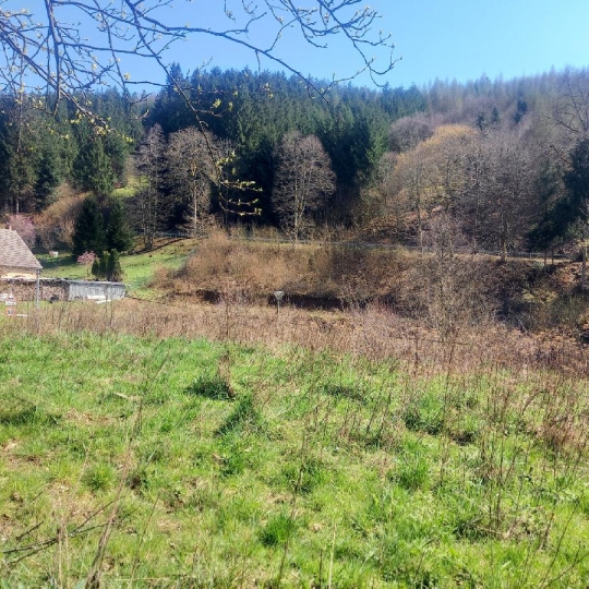  LOLITA JASKO IMMOBILIER : Ground | GRANDFONTAINE (67130) | 1 434 m2 | 48 000 € 