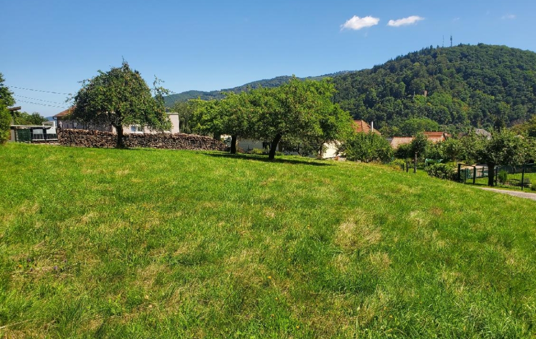 LOLITA JASKO IMMOBILIER : Terrain | LA BROQUE (67130) | 1 230 m2 | 134 000 € 