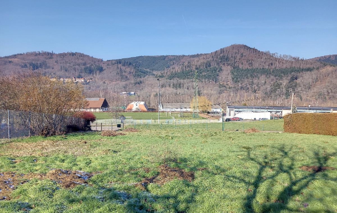 LOLITA JASKO IMMOBILIER : Terrain | BAREMBACH (67130) | 885 m2 | 124 000 € 